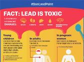 Lead poisoning prevention