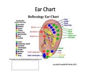 REFLEXOLOGY PowerPoint Presentation