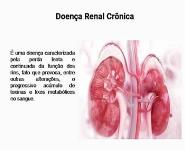 Kidney article PowerPoint Presentation