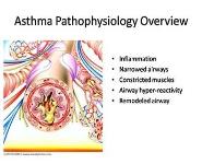 Pediatric Asthma PowerPoint Presentation Notes