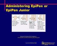 Management and treatment of students with anaphylaxis PowerPoint Presentation Notes