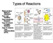 Hypersensitivity PowerPoint Presentation