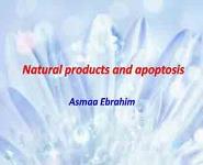 Natural product and Apoptosis PowerPoint Presentation Notes
