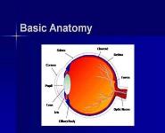 Eyecare Review for Primary Care Practitioners PowerPoint Presentation