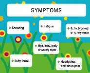 Hayfever - Seasonal allergic rhinitis PowerPoint Presentation