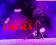 Viruses PowerPoint Presentation
