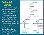 Histamine and Antihistaminics PowerPoint Presentation
