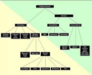 FOOD AND TOXICITY Natural Toxins PowerPoint Presentation