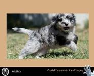 Tendinopathies in the Hand PowerPoint Presentation Notes