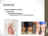 Quadriceps and Patellar Tendon Injuries