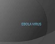 Ebola Virus PowerPoint Presentation Notes