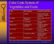 Nutrition in Cancer Prevention PowerPoint Presentation Notes