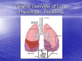 Lung Cancer