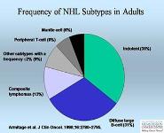 Non-Hodgkins Lymphoma PowerPoint Presentation
