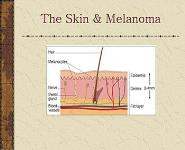 Skin Cancer: What You Should Know PowerPoint Presentation