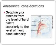 Carcinoma Oropharynx PowerPoint Presentation Notes