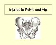 Pelvis Injuries PowerPoint Presentation