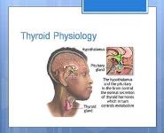 Thyroid Disease PowerPoint Presentation
