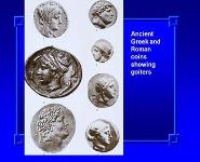 Thyroid Emergencies PowerPoint Presentation Notes