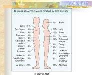 Neoplasia PowerPoint Presentation Notes