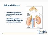 Treatment of Students with Adrenal Crisis