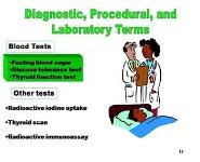 The Endocrine System PowerPoint Presentation Notes