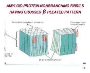 Amyloidosis PowerPoint Presentation Notes