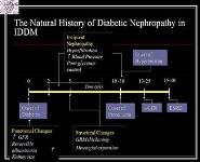 Secondary Causes of the Nephrotic Syndrome PowerPoint Presentation Notes