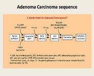 Benign And Malignant Tumors Of The Rectum PowerPoint Presentation