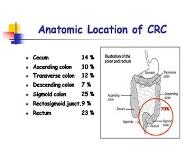 Gastrointestinal Cancer PowerPoint Presentation