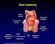 Cancers in HIV: A Growing Problem PowerPoint Presentation Notes