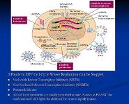 AIDS and Other Immunodeficiencies PowerPoint Presentation Notes