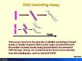 Radiation Targets 1: DNA Chromosome and Chromatid Damage and Repair