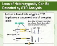 Molecular Oncology PowerPoint Presentation Notes