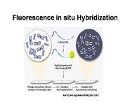 The PNPs Guide to Primary Immunodeficiencies PowerPoint Presentation