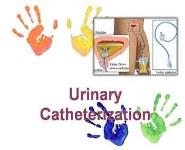 Urinary Catheterization PowerPoint Presentation
