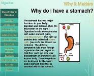 Organ Systems - Digestion PowerPoint Presentation Notes