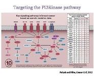 Metastatic Breast Cancer and Emerging Research PowerPoint Presentation