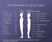 Breast Cancer Research PowerPoint Presentation
