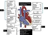 Cardiac Tumors
