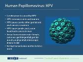 Cervical Cancer Awareness: HPV 101