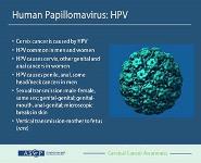 Cervical Cancer Awareness: HPV 101 PowerPoint Presentation Notes