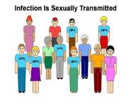 Human Papillomavirus (HPV) and Cancer PowerPoint Presentation Notes