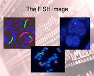 Genetic Testing PowerPoint Presentation Notes