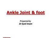 Ankle Joint Foot