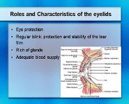 Common Ophthalmic Conditions in Primary Care - Management of Dry Eyes PowerPoint Presentation