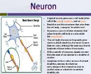 Guillain Barre Sudrome PowerPoint Presentation Notes
