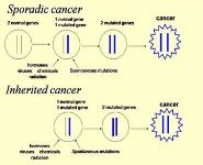 Cancer Genetics for Primary Care PowerPoint Presentation