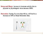 Basal Metabolic Rate PowerPoint Presentation Notes