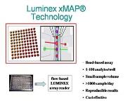 Head and neck cancer PowerPoint Presentation